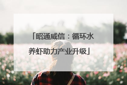 昭通威信：循环水养虾助力产业升级