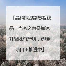 晶科能源副总裁钱晶：当务之急是加速升级既有产线，沙特项目正推进中