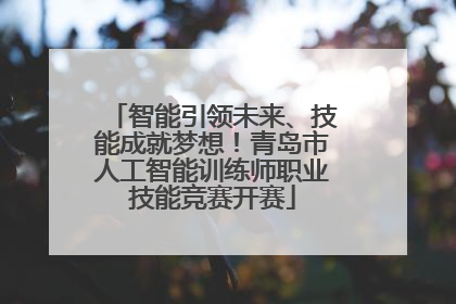 智能引领未来、技能成就梦想！青岛市人工智能训练师职业技能竞赛开赛