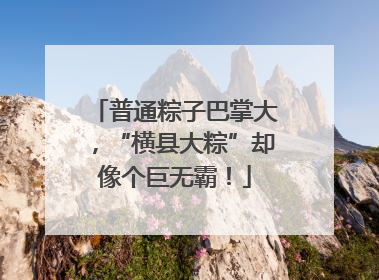 普通粽子巴掌大，“横县大粽”却像个巨无霸！