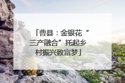 曹县：金银花“三产融合”托起乡村振兴致富梦