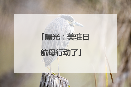 曝光：美驻日航母行动了
