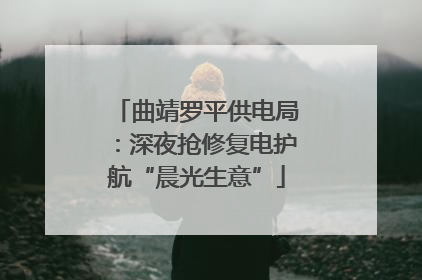 曲靖罗平供电局：深夜抢修复电护航“晨光生意”