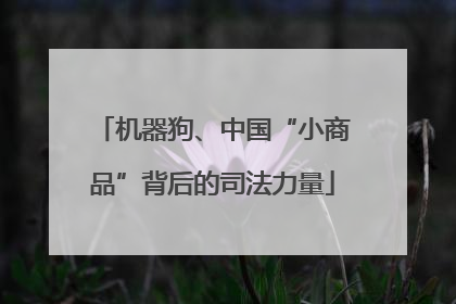 机器狗、中国“小商品”背后的司法力量