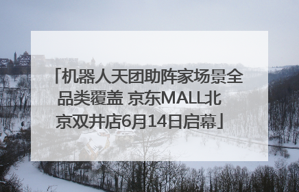 机器人天团助阵家场景全品类覆盖 京东MALL北京双井店6月14日启幕