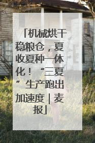 机械烘干稳粮仓，夏收夏种一体化！“三夏”生产跑出加速度｜麦报
