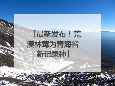 最新发布！荒漠林莺为青海省新记录种