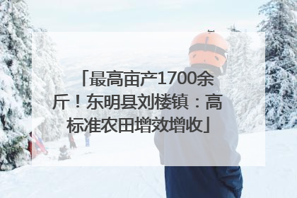最高亩产1700余斤！东明县刘楼镇：高标准农田增效增收