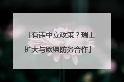 有违中立政策？瑞士扩大与欧盟防务合作