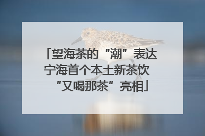 望海茶的“潮”表达 宁海首个本土新茶饮“又喝那茶”亮相