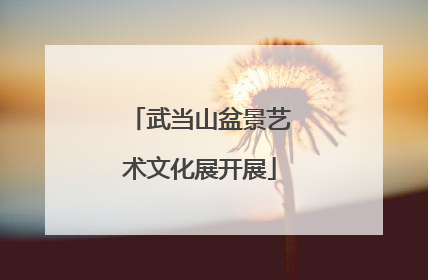 武当山盆景艺术文化展开展