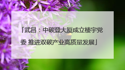 武昌：中碳登大厦成立楼宇党委 推进双碳产业高质量发展
