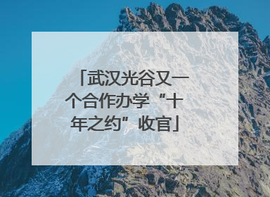 武汉光谷又一个合作办学“十年之约”收官