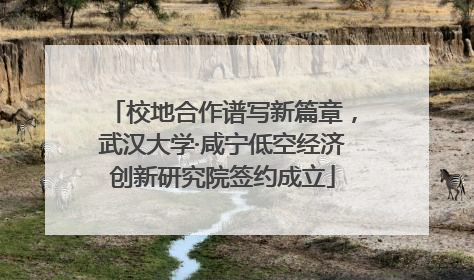 校地合作谱写新篇章，武汉大学·咸宁低空经济创新研究院签约成立