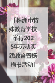 株洲市特殊教育学校举行2025年劳动实践教育暨杨梅节活动