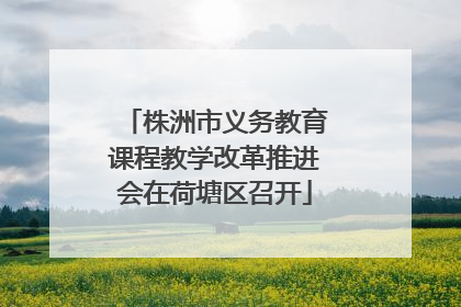 株洲市义务教育课程教学改革推进会在荷塘区召开