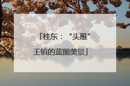 桂东：“头雁”王镇的蓝图美景
