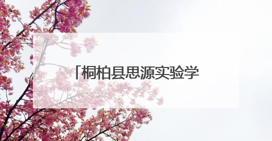 桐柏县思源实验学校：黑板方寸传粽情 心灵向阳沐古风