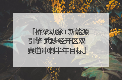 桥梁动脉+新能源引擎 武陟经开区双赛道冲刺半年目标