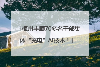 梅州丰顺70多名干部集体“充电”AI技术！