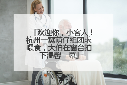欢迎你，小客人！杭州一窝萌仔组团求喂食，大伯在窗台拍下温馨一幕