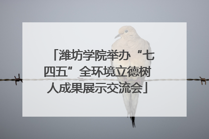 潍坊学院举办“七四五”全环境立德树人成果展示交流会