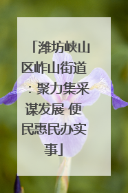 潍坊峡山区岞山街道：聚力集采谋发展 便民惠民办实事
