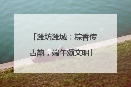 潍坊潍城：粽香传古韵，端午颂文明
