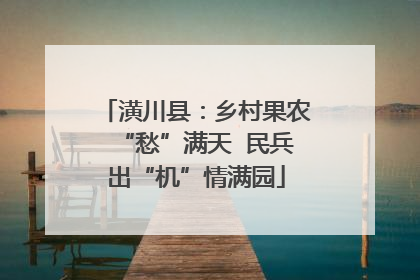 潢川县：乡村果农“愁”满天  民兵出“机”情满园