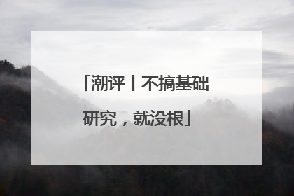 潮评丨不搞基础研究，就没根