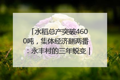 水稻总产突破4600吨，集体经济翻两番：永丰村的三年蜕变｜您牵挂的四川