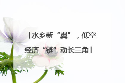 水乡新“翼”，低空经济“链”动长三角
