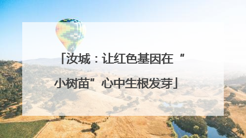 汝城：让红色基因在“小树苗”心中生根发芽