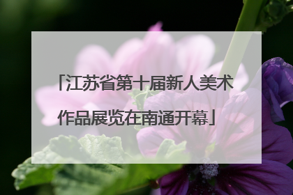 江苏省第十届新人美术作品展览在南通开幕