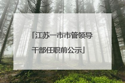江苏一市市管领导干部任职前公示