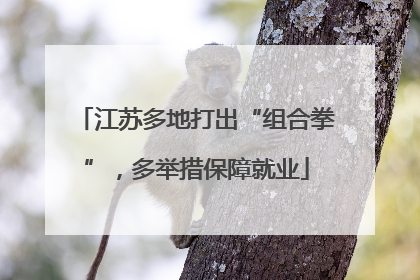 江苏多地打出“组合拳”，多举措保障就业