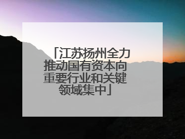 江苏扬州全力推动国有资本向重要行业和关键领域集中