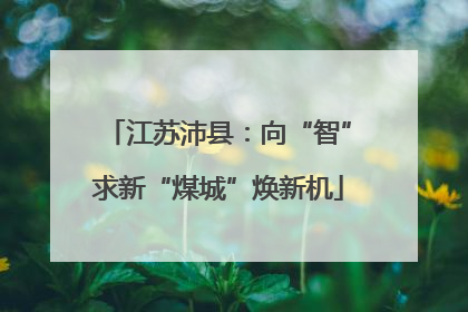 江苏沛县：向“智”求新“煤城”焕新机