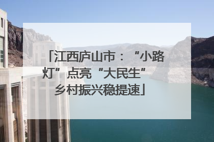 江西庐山市：“小路灯”点亮“大民生” 乡村振兴稳提速