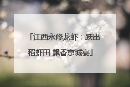 江西永修龙虾：跃出稻虾田 飘香京城宴