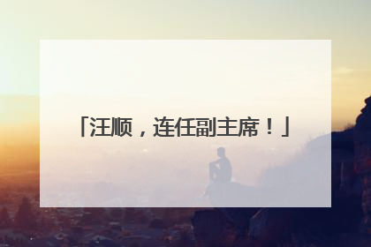 汪顺，连任副主席！