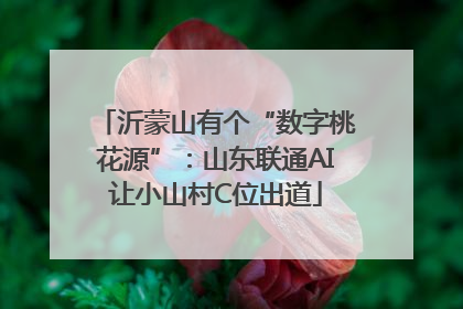 沂蒙山有个“数字桃花源”：山东联通AI让小山村C位出道
