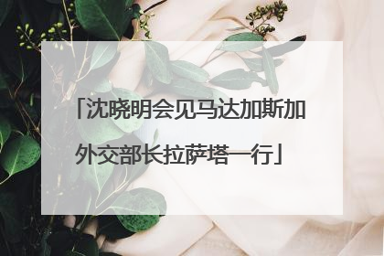 沈晓明会见马达加斯加外交部长拉萨塔一行