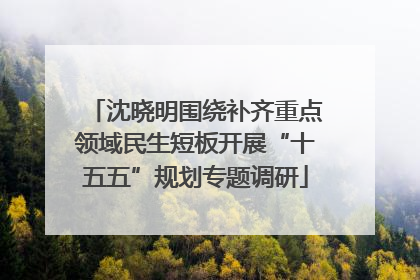 沈晓明围绕补齐重点领域民生短板开展“十五五”规划专题调研