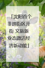 沈阳首个非遗街区开街 文旅新业态激活经济新动能