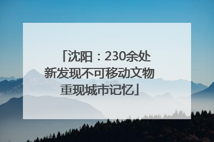 沈阳：230余处新发现不可移动文物重现城市记忆
