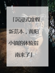 沉浸式度假新范本，黄阳小镇的体验指南来了
