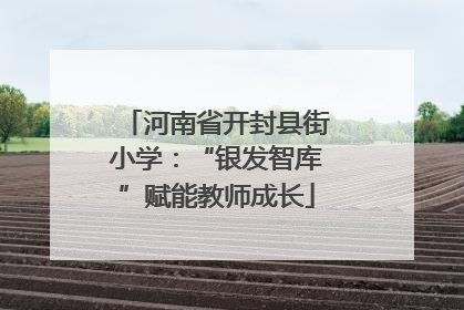 河南省开封县街小学：“银发智库”赋能教师成长