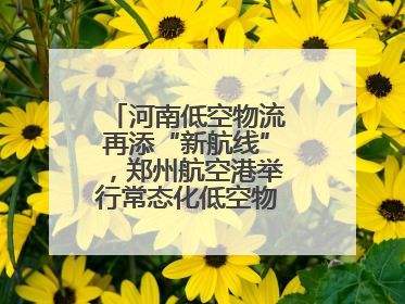河南低空物流再添“新航线”，郑州航空港举行常态化低空物流试飞活动