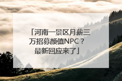 河南一景区月薪三万招募颜值NPC？最新回应来了